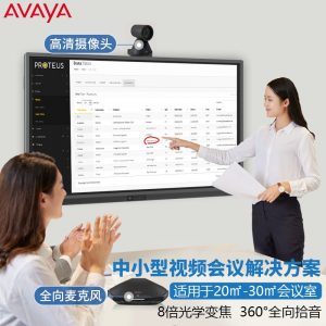 亚美亚（Avaya）中小型视频会议解决方案 （全向麦克风B109+高清摄像头HC050）适用于20-30㎡，3-7天可交付